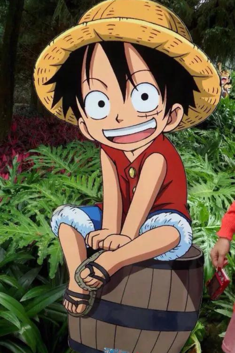 Ảnh Luffy cười 1