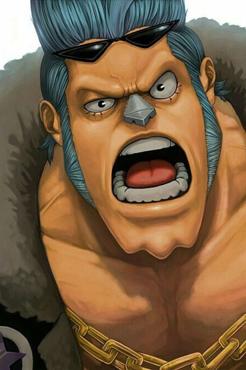 Ảnh Franky wano 13