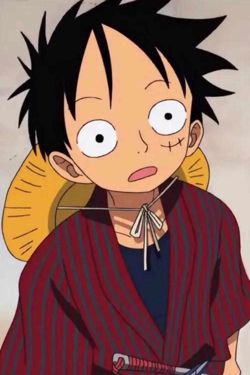 Ảnh Luffy buồn 7