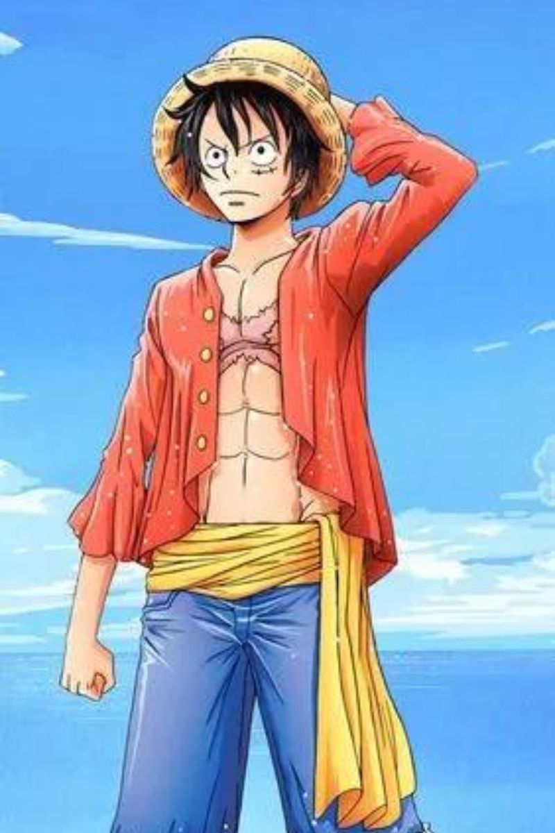 Ảnh Luffy buồn 8