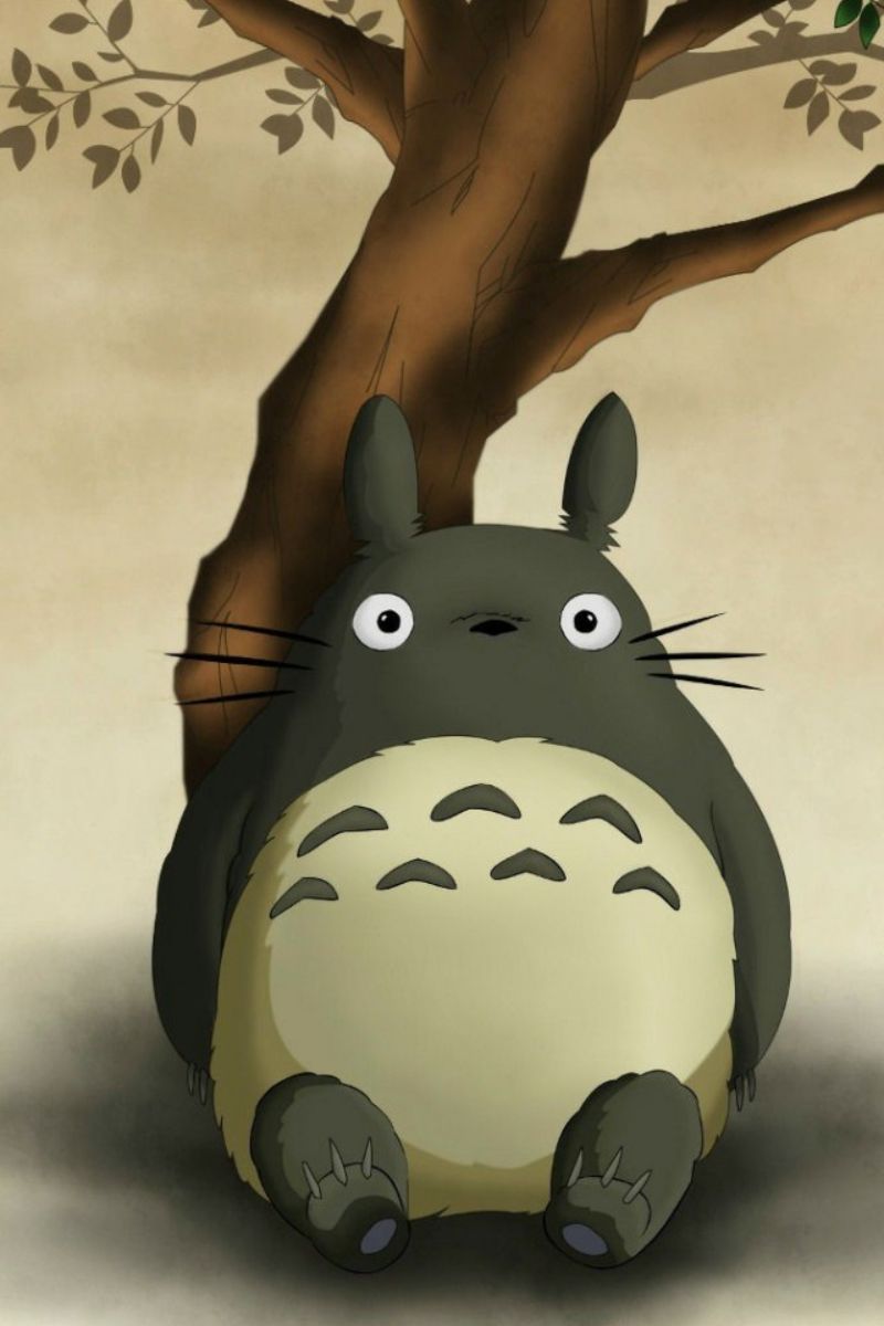 Ảnh Totoro cute 1