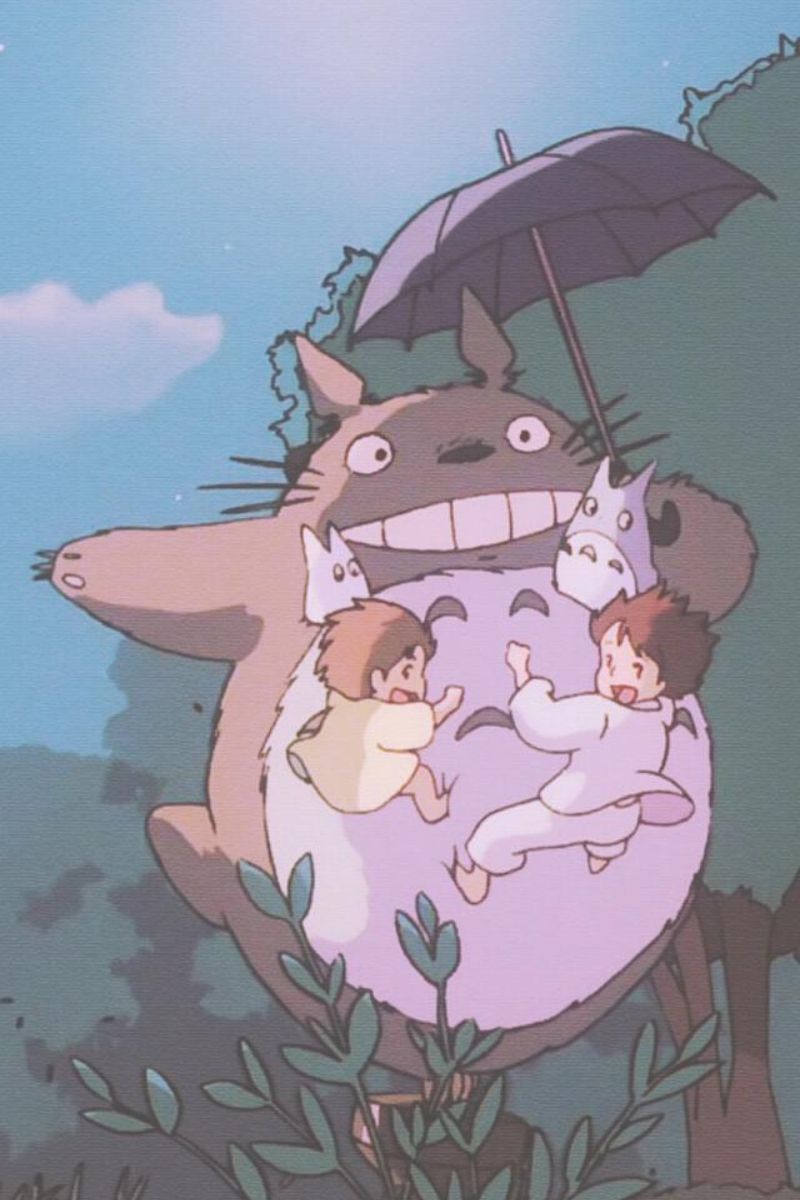 Ảnh Totoro cute 17