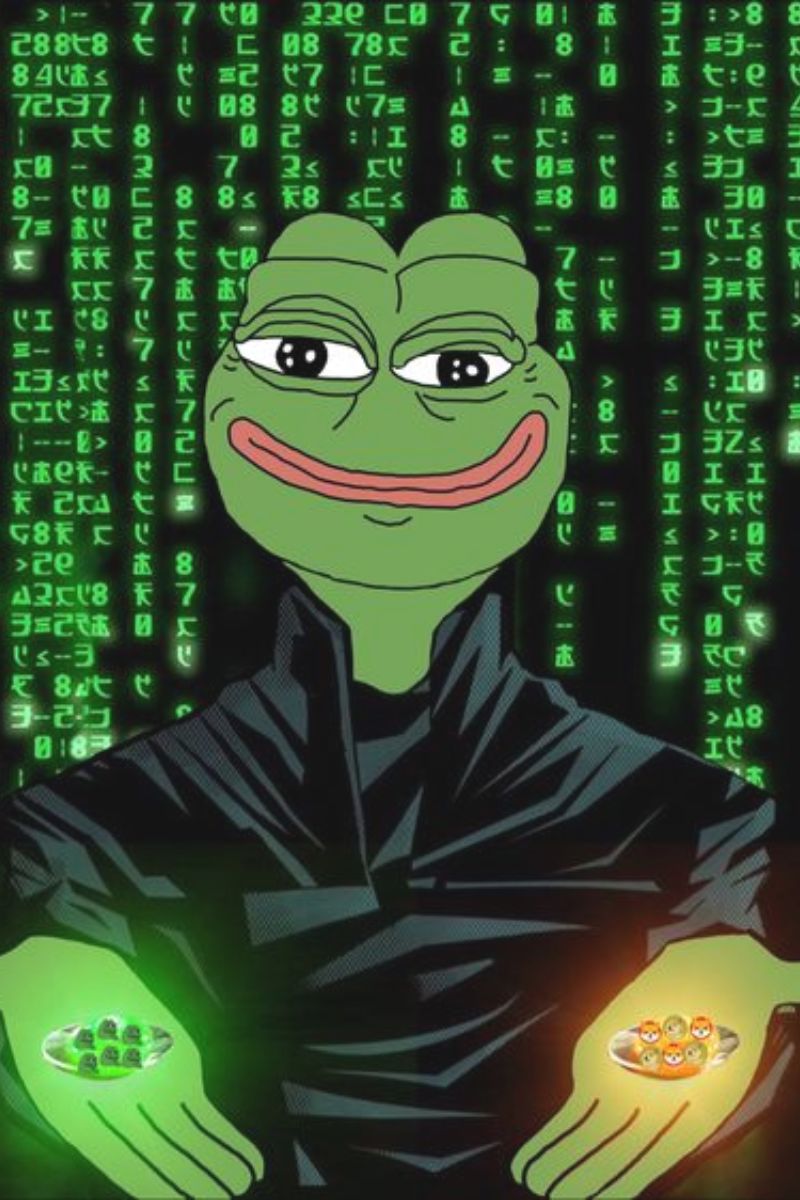 Pepe Meme Coin 3