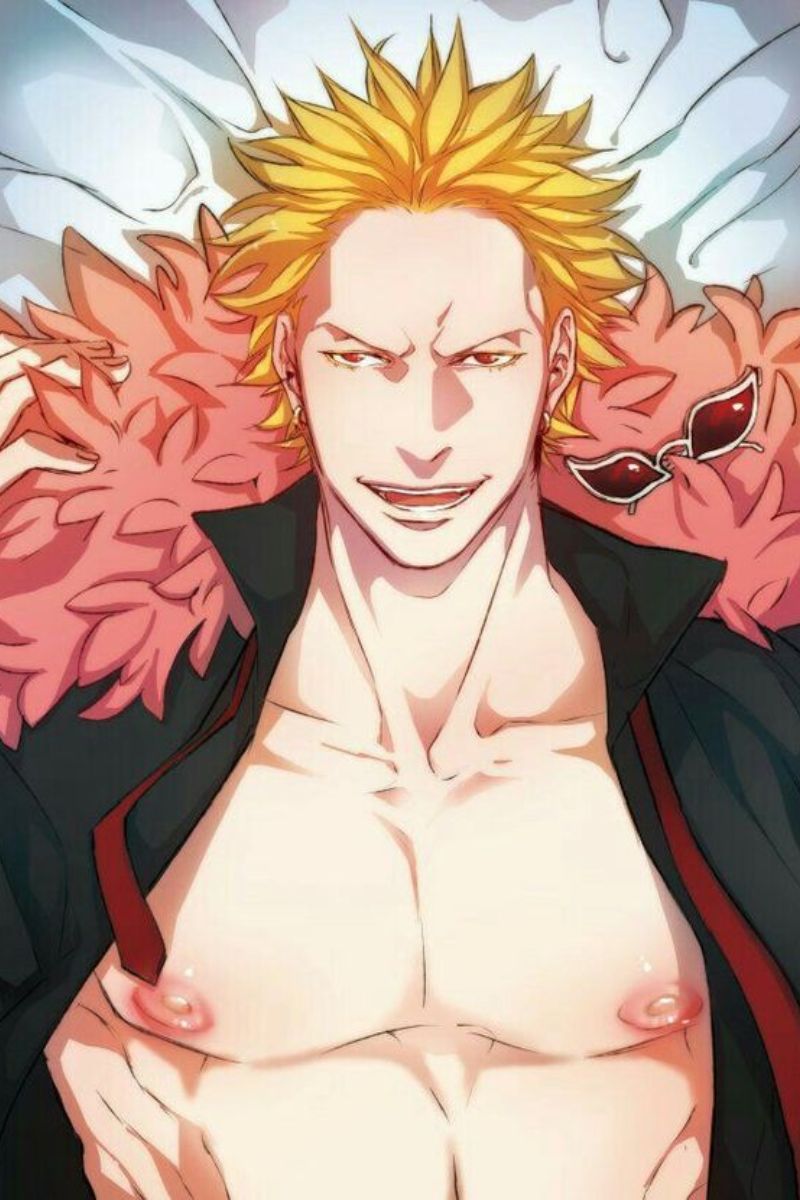 Ảnh Donquixote Doflamingo One Piece 12