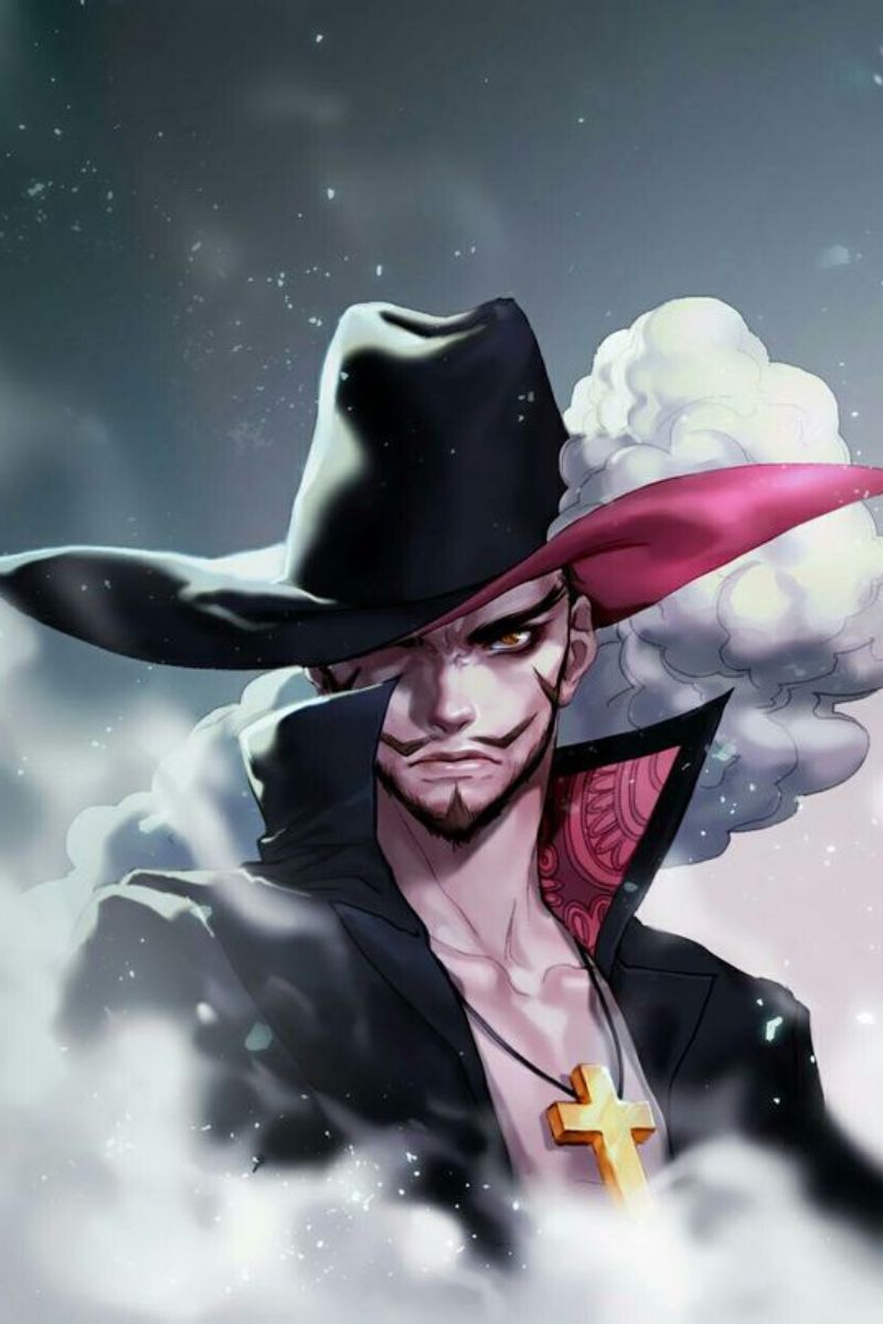 Ảnh Dracule Mihawk One Piece 14