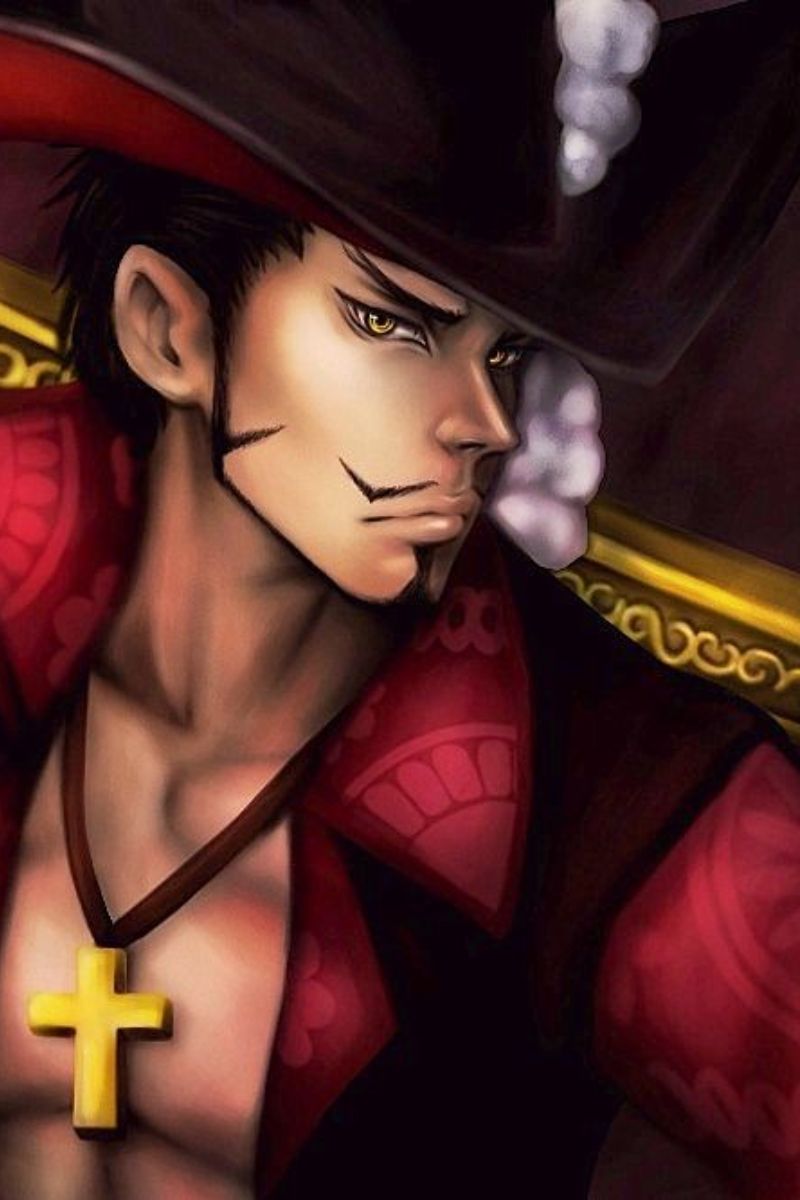 Ảnh Dracule Mihawk One Piece 9