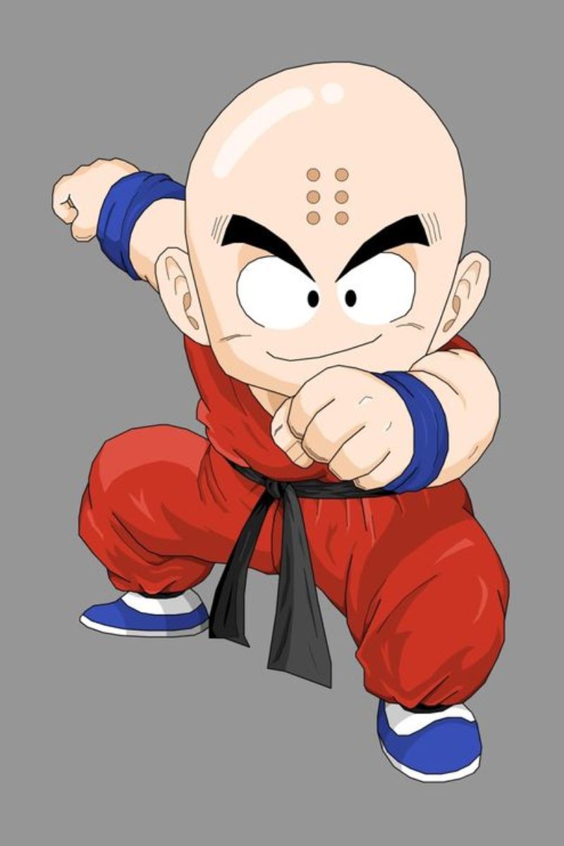 Ảnh Krillin 7 Viên Ngọc Rồng 19