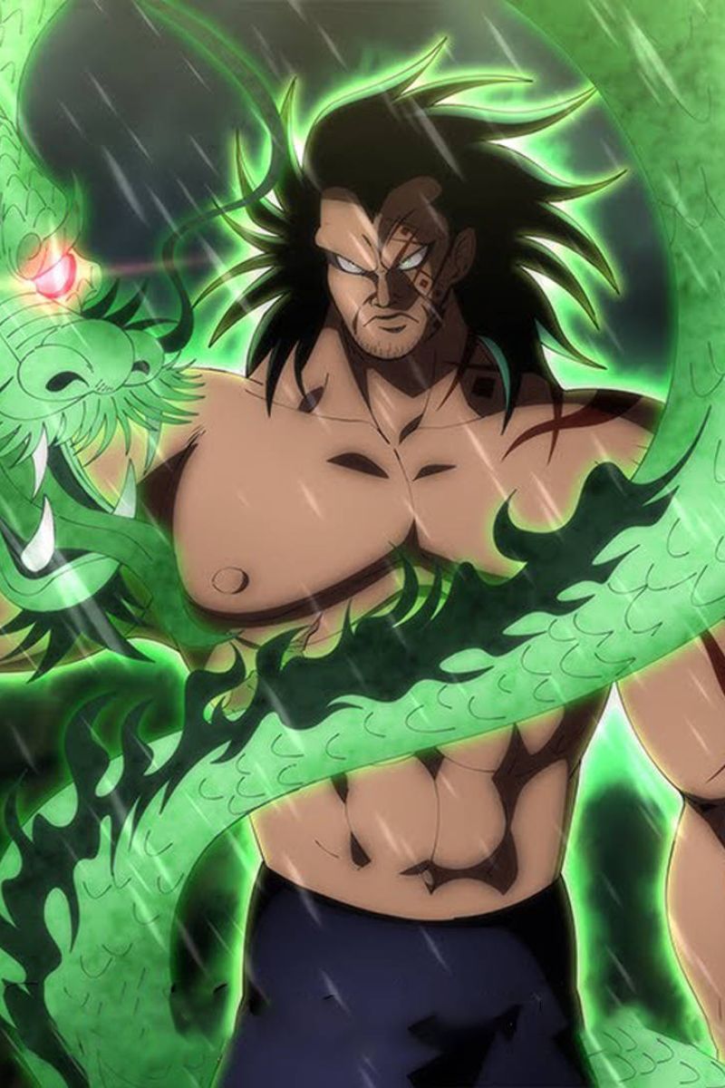 Ảnh Monkey D. Dragon One Piece 11