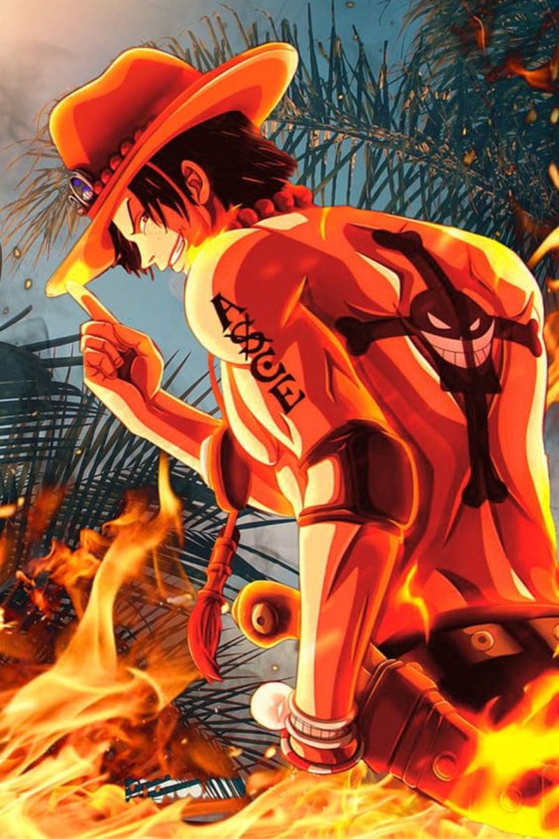 Ảnh Portgas D. Ace One Piece 13