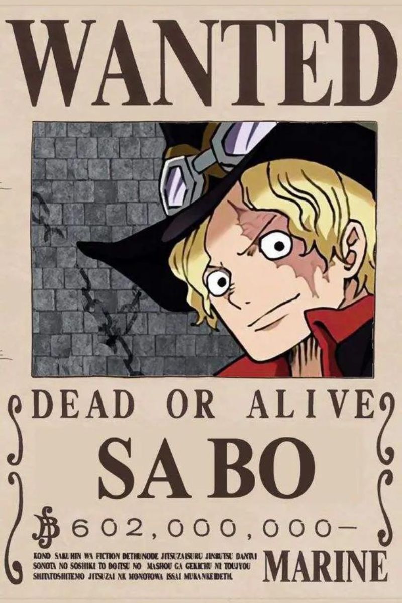 Ảnh Sabo One Piece 3