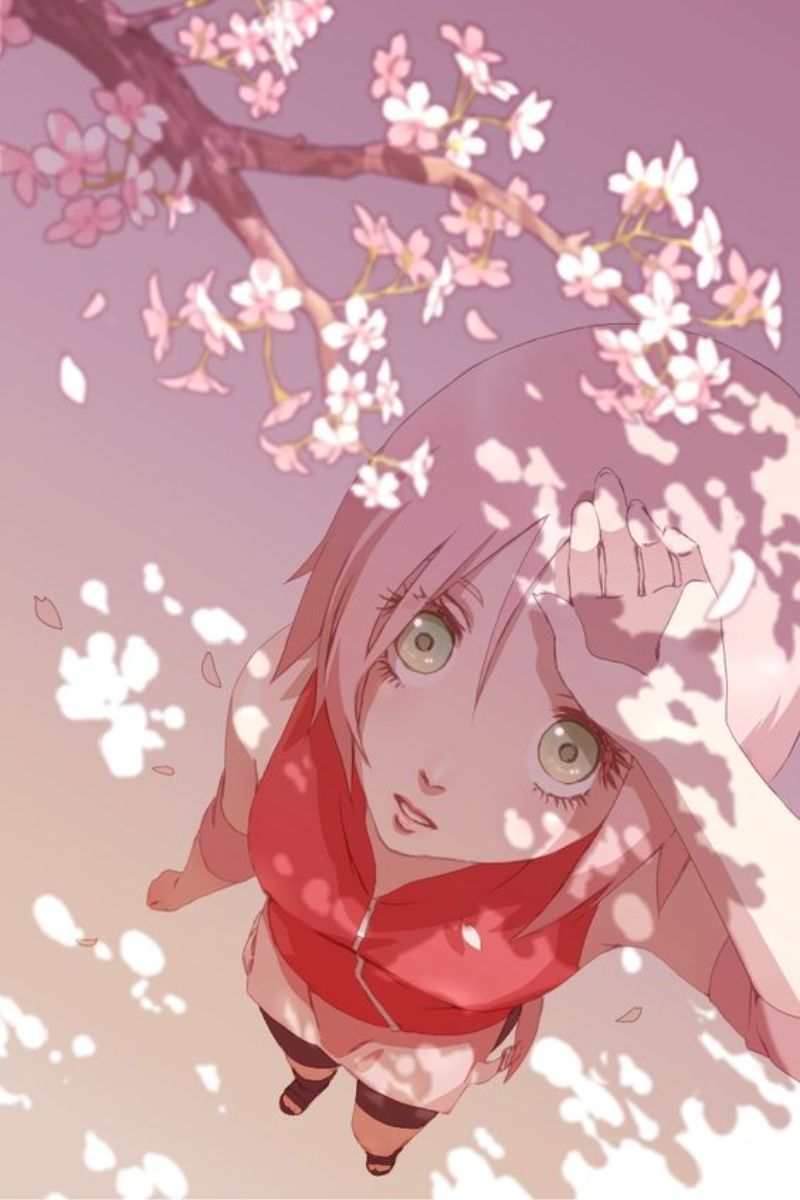 Ảnh Sakura Naruto 7