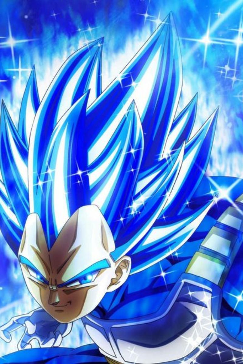 Ảnh Vegeta Ngầu nhất 5