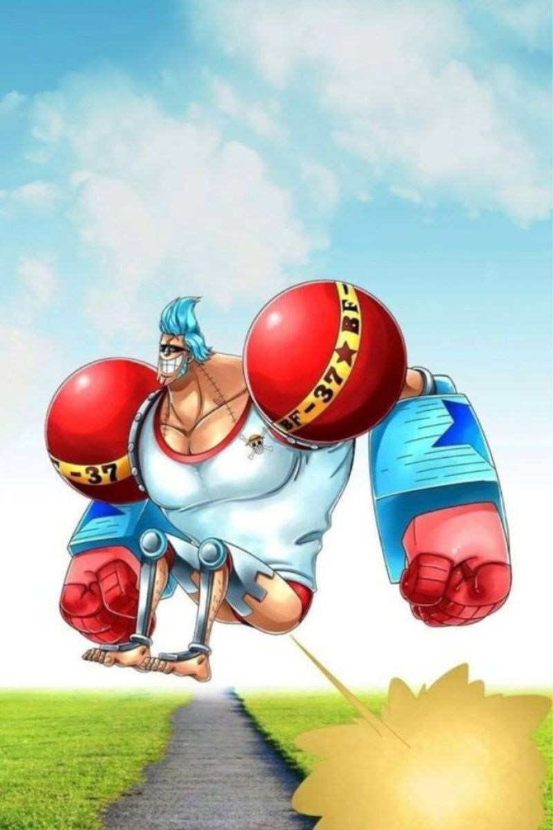 Hình ảnh Franky One Piece 11