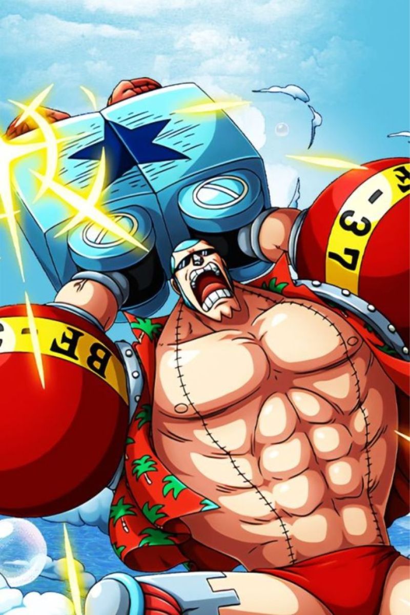 Hình ảnh Franky One Piece 12