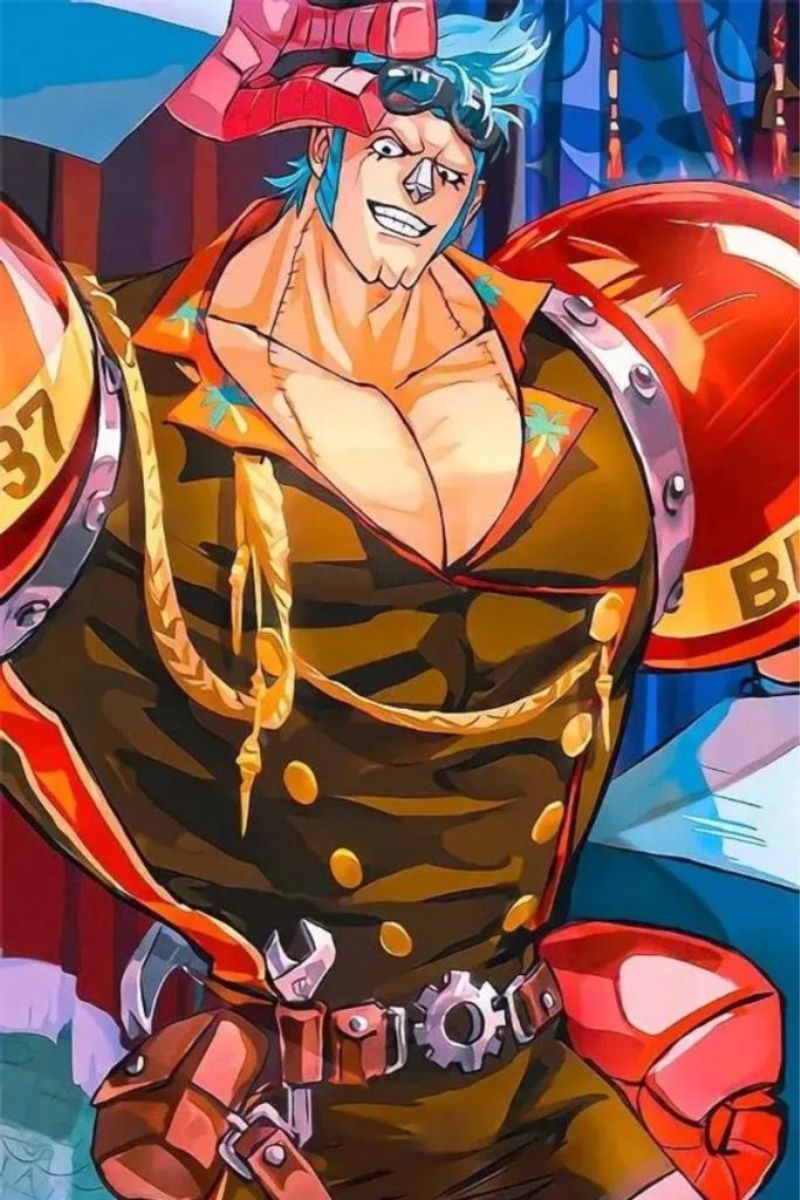 Hình ảnh Franky One Piece 2