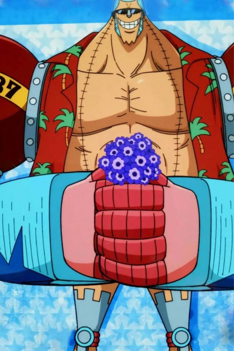 Hình ảnh Franky One Piece 4