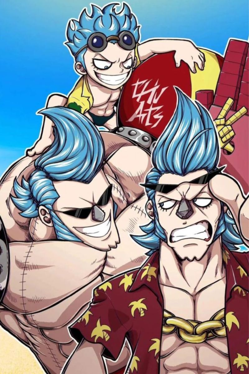 Hình ảnh Franky One Piece 6