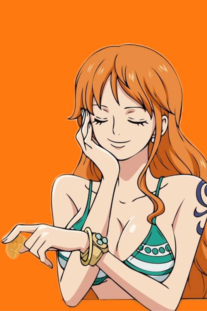 Hình ảnh Nami One Piece 14