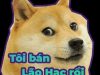 Gợi ý 1k ảnh cheems meme, doge meme làm icon nhắn tin độc đáo