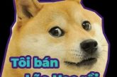 Gợi ý 1k ảnh cheems meme, doge meme làm icon nhắn tin độc đáo