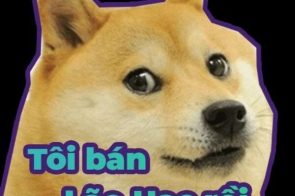 Gợi ý 1k ảnh cheems meme, doge meme làm icon nhắn tin độc đáo