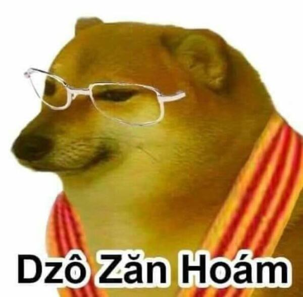 Ảnh doge meme đeo kính