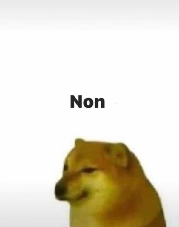 Ảnh doge meme